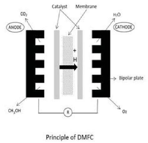 The principle of the DMFC | Download Scientific Diagram