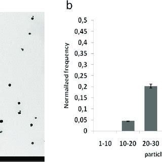 A TEM Image Of AgNP B Size Distribution Of AgNP Data Are Mean