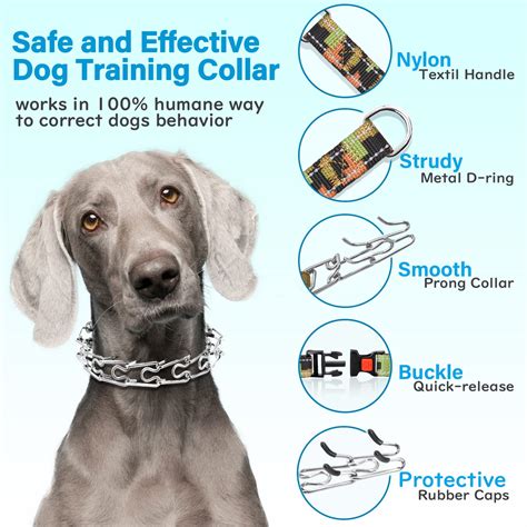 Which Dog Training Collar Is Right For YOUR Dog? | atelier-yuwa.ciao.jp