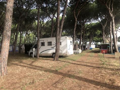 Campeggio Camping Village Tuscia Tirrenica A Tarquinia In Lungomare