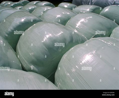 silage bales close Stock Photo - Alamy