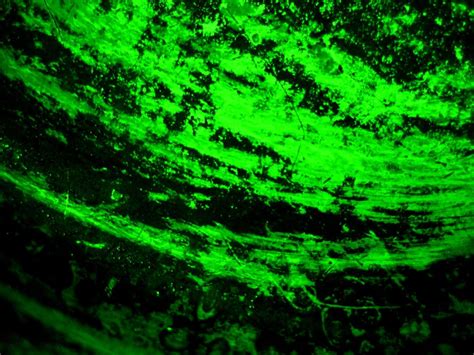 Neon Green Wallpapers HD - Wallpaper Cave