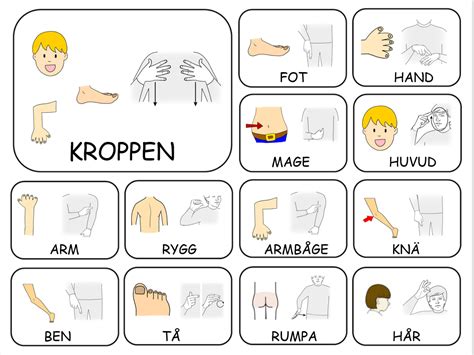 Teckenkartor Fr Ken Ljusta Babyteckenspr K Teckenspr K