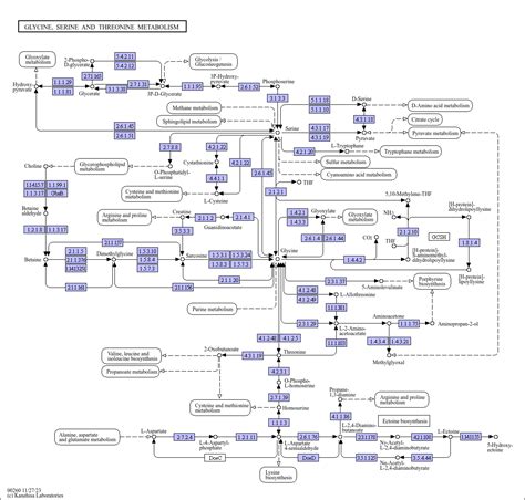 Kegg Pathway Glycine Serine And Threonine Metabolism Reference Pathway ...