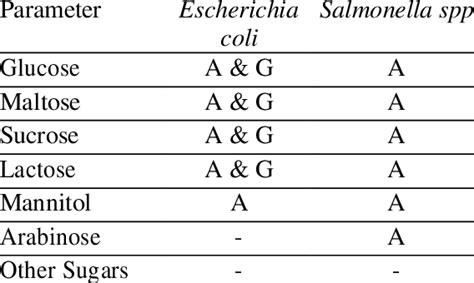 Carbohydrate Fermentation Test Download Scientific Diagram