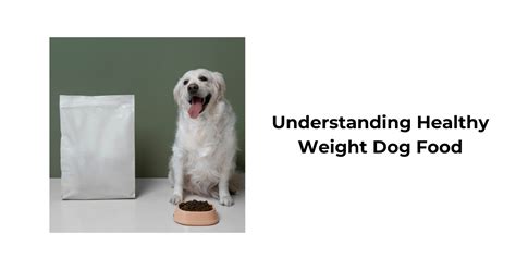 What is Healthy Weight Dog Food? | Waggle