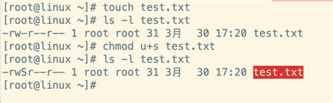 从基础到高级：linux用户与用户组权限设置详解 阿里云开发者社区