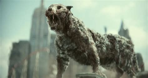 Best Zombie Animals in Movies