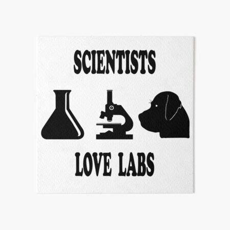 L Mina R Gida Camiseta Del Laboratorio Del Amor De Los Cient Ficos De