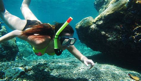 Snorkeling in Batangas | Eagle Point Resort