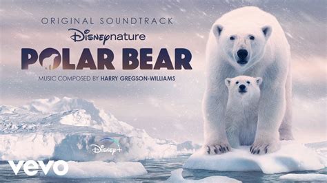 Harry Gregson Williams We Are Ice Bears From Disneynature Polar