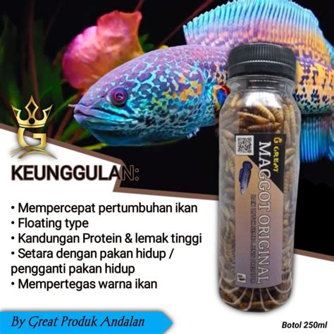 Jual Great Premium Magot Kering Pakan Ikan Louhan Arwana Channa Dan