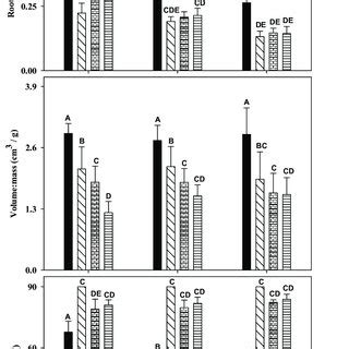 Root Shoot Ratio Volume Mass Ratio And The Angle Between The Plant