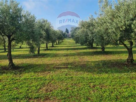 Terreno Agricolo Contrada Rigolizia Noto Rif Immobiliare It