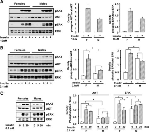 Sex And Depot Differences In Adipocyte Insulin Sensitivity And Glucose Metabolism Pmc