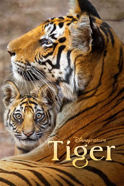 Tiger 2024 Posters The Movie Database TMDB