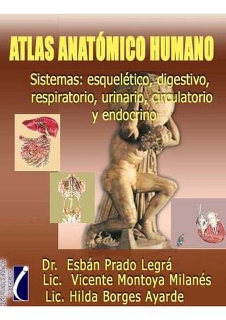 Atlas anatómico humano PDF