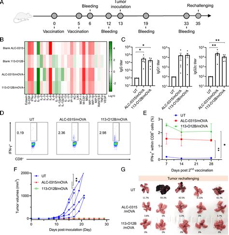 Lipid Nanoparticle Mediated Lymph Nodetargeting Delivery Of MRNA