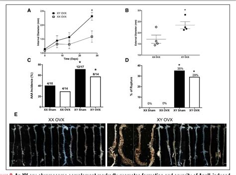 Figure 1 From Female Mice With An Xy Sex Chromosome Complement Develop