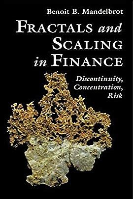 fractals  scaling  finance discontinuity concentration risk book