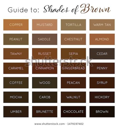 find shades brown vector brown color palette stock images  hd