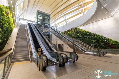 Gardens By The Bay MRT Station Lifts Escalators To Exit 1 Land