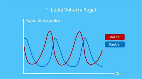 Lotka Volterra Regeln Populationsdynamik Mit Video