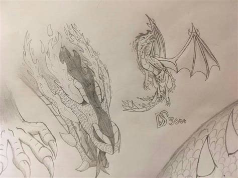 Fire dragon sketch by Dragonsoul5000 on DeviantArt