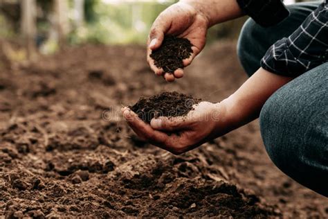 Hand Of Farmer Inspecting Soil Health Before Planting In Organic Farm