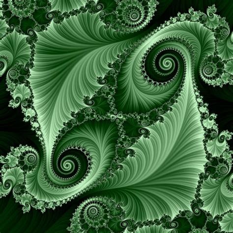 Fractalized Fern Fractal Art Fractals Fractal Geometry