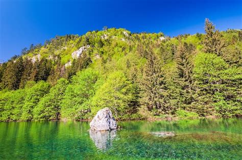 Belleza Lago Parque Nacional Durmitor Montenegro Foto Premium