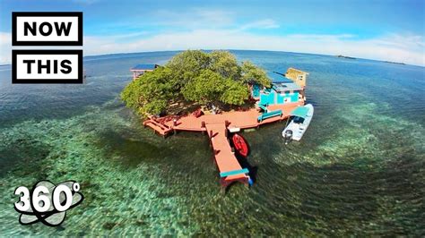 Bird Island Paradise In Belize 360 Tour Unframed By Gear 360