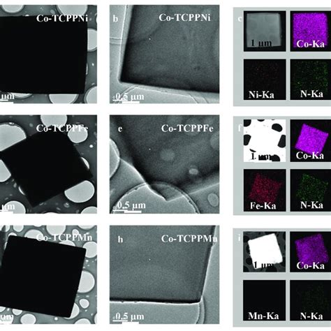 Sem Pictures Of The Ad Co Tcppni Be Co Tcppfe And Cf Download Scientific Diagram