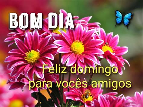 20 Imagens De Bom Dia Domingo Com Lindas Flores