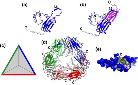 Plant Small Heat Shock Proteins Evolutionary And Functional Diversity