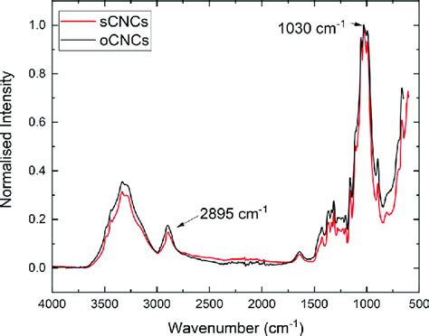 Typical Atr Ftir Spectra Of Scnc And Ocnc Curves Shifted To Avoid