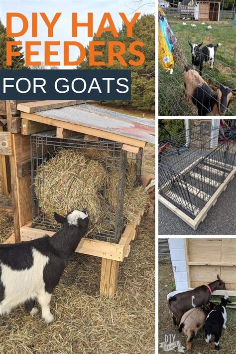 Diy Goat Hay Feeders Goat Hay Feeder Goats Goat Playground