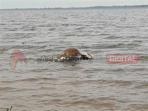 La Crecida Se Hace Evidente En La Costanera Santafesina