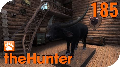 THE HUNTER CLASSIC 165 NEUE TROPHÄENLODGE Let s Play The