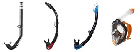 The Top 7 Best Snorkels Gear Reviews Buyers Guide 2022 Pro