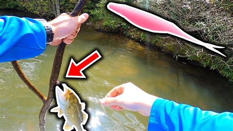 Smallmouth Crush This Pink Lure Unreal Youtube