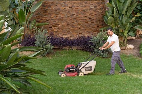 Mantenimiento de jardines y zonas verdes Más Social