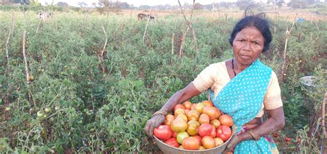 Karnataka Tribal Woman Turns Into Organic Super Farmer Earns In