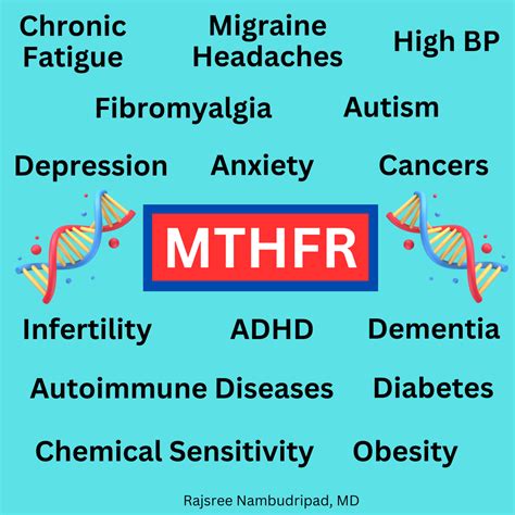 Understanding The MTHFR Gene OC Integrative Medicine