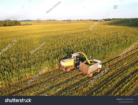 11,634 Silage Field Images, Stock Photos & Vectors | Shutterstock