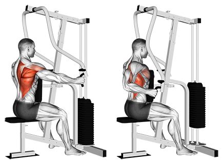 One Arm Seated Cable Row Machine Better Body Academy