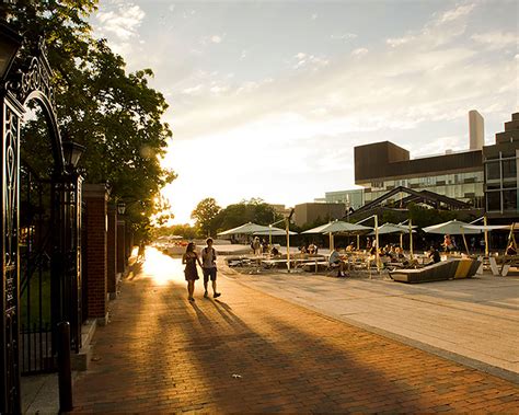 Summer Courses for Adult and College Students | Harvard Summer School