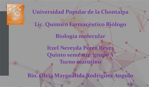 Línea Del Tiempo De Biología Molecular Itzel Pérez Udocz