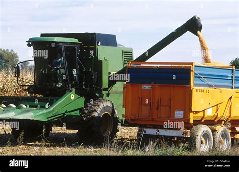 Corn, combine harvester Stock Photo - Alamy