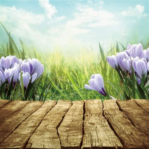 Buy Aofoto X Ft Natural Spring Backdrop For Photography Blur Crocus